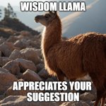 wiadom llama | WISDOM LLAMA; APPRECIATES YOUR 
SUGGESTION | image tagged in wisdom llama | made w/ Imgflip meme maker