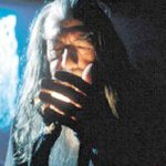 Gandalf walking stick