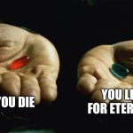 which one would you pick | YOU DIE; YOU LIVE FOR ETERNITY | image tagged in red pill blue pill,choices,memes,pills | made w/ Imgflip meme maker