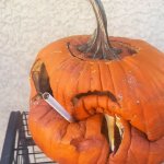 Florida smoking pumpkin