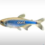 Dont fish meme