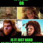 Funny | IS IT ME?
OR; IS IT JUST HARD
TO TELL SOME BIKERS APART? | image tagged in funny,bikers,motorcycle,lookalike,am i the only one around here,hard to swallow pills | made w/ Imgflip meme maker