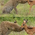 Do you understand how f'd you are?