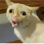 Kids cough | image tagged in kids cough | made w/ Imgflip meme maker