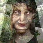 choerry tree GIF Template