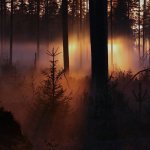 How I feel when summer vacation ends.