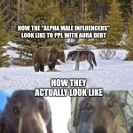 Image Title | HOW THE "ALPHA MALE INFLUENCERS" LOOK LIKE TO PPL WITH AURA DEBT; HOW THEY ACTUALLY LOOK LIKE | image tagged in bear vs wolf,funny,relatable,alpha male influencers,sigma males,idiots | made w/ Imgflip meme maker