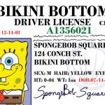 Spongebob Driver License
