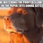 Let me know dog | ME WATCHING THE PRINTER SLOWLY TAKE IN THE PAPER THTS GONNA GET STUCK | image tagged in let me know dog | made w/ Imgflip meme maker