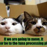 Moving Cats | If we are going to move, it better be to the tuna processing plant. | image tagged in moving cats | made w/ Imgflip meme maker