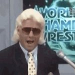 Ric Flair Alligators