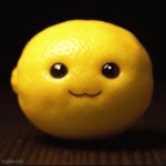 niche lemon meme