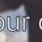 chat what's your opinion on me