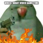 birb with gun | WHEN I WANT VIDEO GAME TIME | image tagged in birb with gun | made w/ Imgflip meme maker