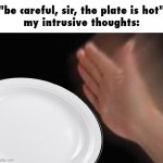 ooOOOhhh I wonder how hot it is- AAAAAA | "be careful, sir, the plate is hot"
my intrusive thoughts: | image tagged in memes,blank nut button,hot,the plate is hot | made w/ Imgflip meme maker