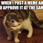 Like didn't I post the meme???? | ME WHEN I POST A MEME AND I HAVE TO APPROVE IT AT THE SAME TIME | image tagged in dumb cat brain loading | made w/ Imgflip meme maker