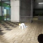 abiotic factor coworker