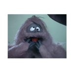 I missed! How could I miss?