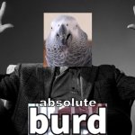 Apollo and Frens - Absolute Burd