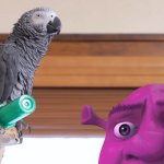 Apollo and Frens - Shrek (Color: Purple)