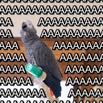 Apollo and Frens - AAAAA template