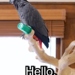 Apollo and Frens: "Hello." - Apollo G. Burd