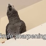 Apollo and Frens - Knife Sharpening