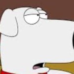 My favorite family guy character Brian Griffin