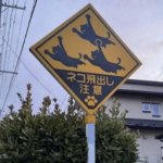 cat sign in Japan