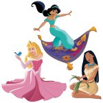 Disney princesses png