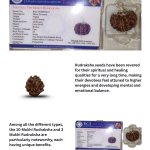 10 Mukhi Silver Rudraksha Pendant