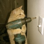 Drillcat