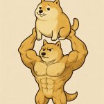 buff dodge supporting