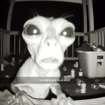 Humans are overrated, Bro.