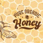 pure honey template