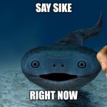 Sacabambaspis crashout | SAY SIKE; RIGHT NOW | image tagged in sacabambaspis | made w/ Imgflip meme maker