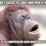 Haters giving me mood swings | IT’S JUST EASIER TO LABEL ANOTHER A FRAUD; THAN IT IS TO COMPREHEND HOW WORTHLESS YOU ARE | image tagged in memes,monkey ooh | made w/ Imgflip meme maker