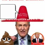 The Schumer Shutdown