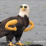 tough eagle