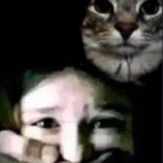 Cat kidnapping child