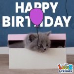 Birthday Cat GIF Template