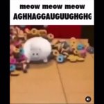 Fat Cat gets obliterated GIF Template
