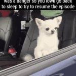 sandwich | when you wake up but the dream was a banger so you lowk go back to sleep to try to resume the episode | image tagged in gifs,sandwich | made w/ Imgflip video-to-gif maker