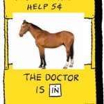 Therapy Horse