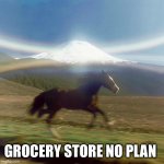 grocery store no plan | GROCERY STORE NO PLAN | image tagged in running horse past mountain | made w/ Imgflip meme maker