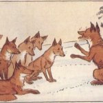 Fox without tail Convincing others to get rid of their tail