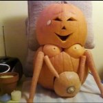 Pumpkin pregnant