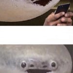 Sacabambaspis concedes your argument | HUH. VALID POINT | image tagged in sacabambaspis argument | made w/ Imgflip meme maker