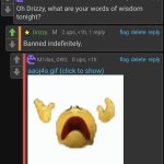 Banned indefinitely. meme
