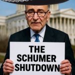 Chuck Schumer Sign